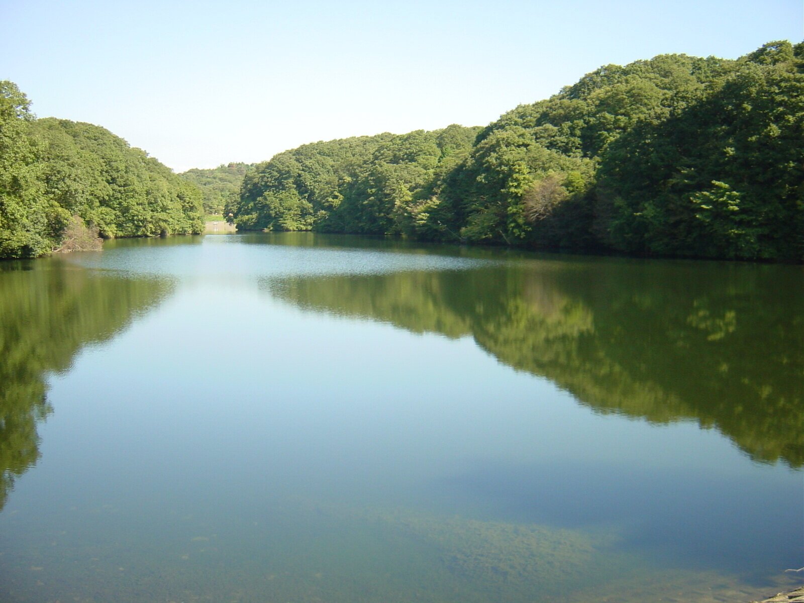 🌳 오사카 부민의 숲 녹색 문화원 무로이케 원지 이미지 6